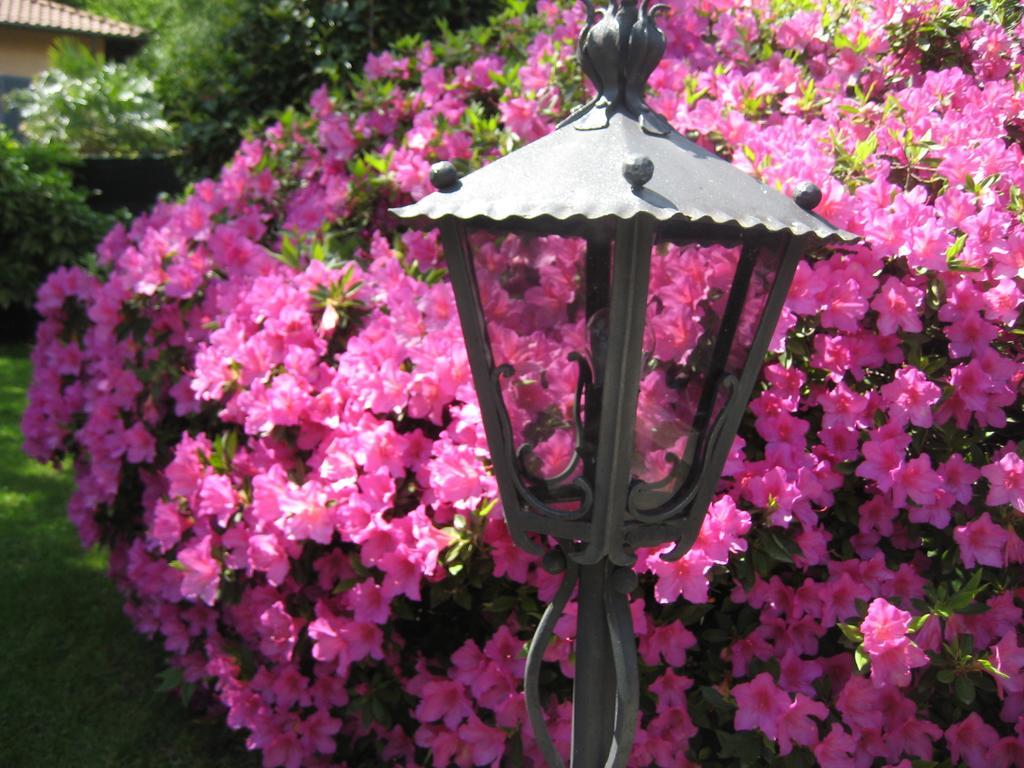 Lake Maggiore Villa Margherita المظهر الخارجي الصورة