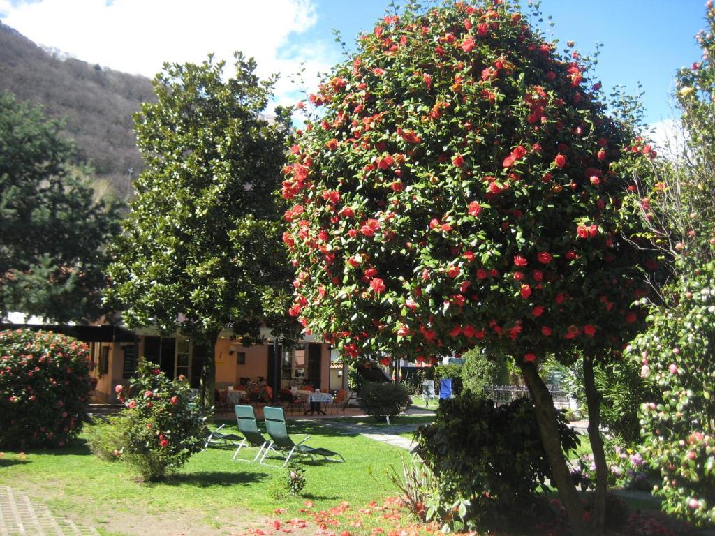 Lake Maggiore Villa Margherita المظهر الخارجي الصورة